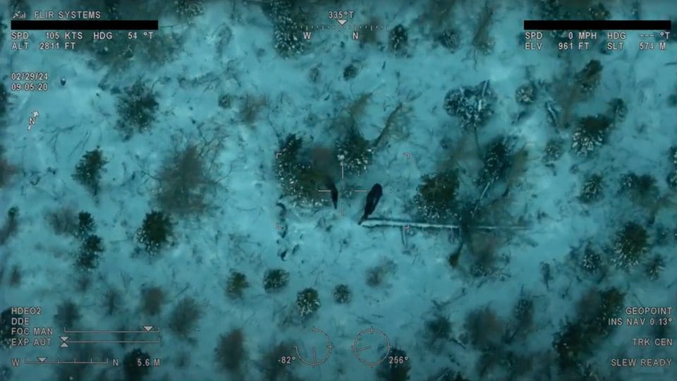 Game Survey Thumbnail